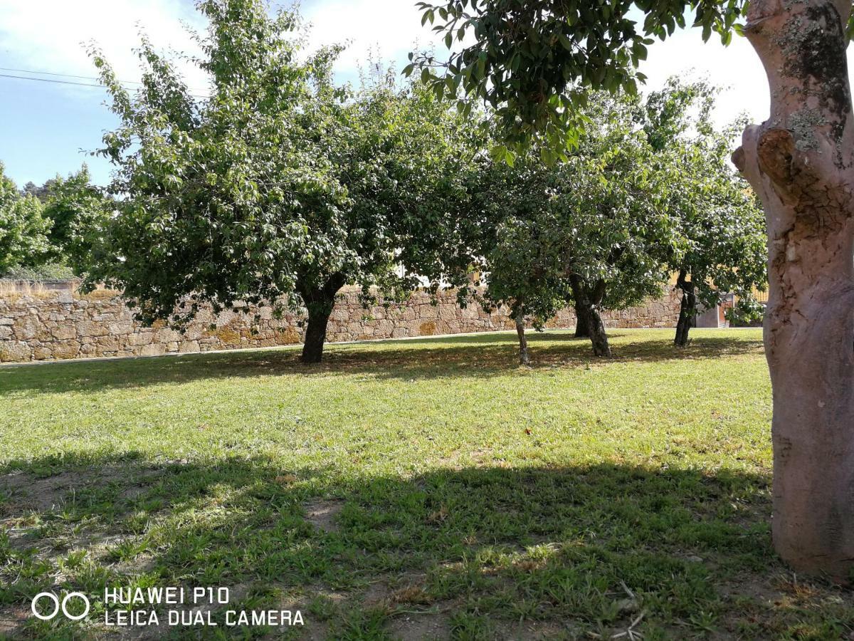 Апартаменти Casas Marias De Portugal - Cerveira Віла-Нова-де-Сервейра Екстер'єр фото
